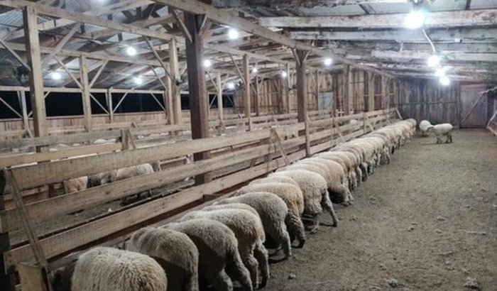 Retomando minha atividade