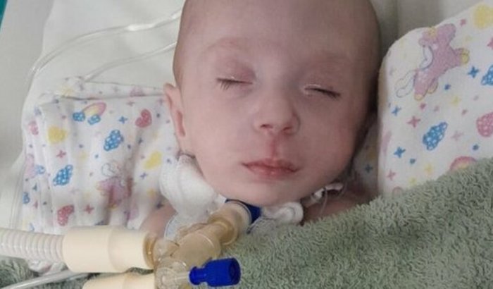 Ajude a Isabella Kiesel Eugênio