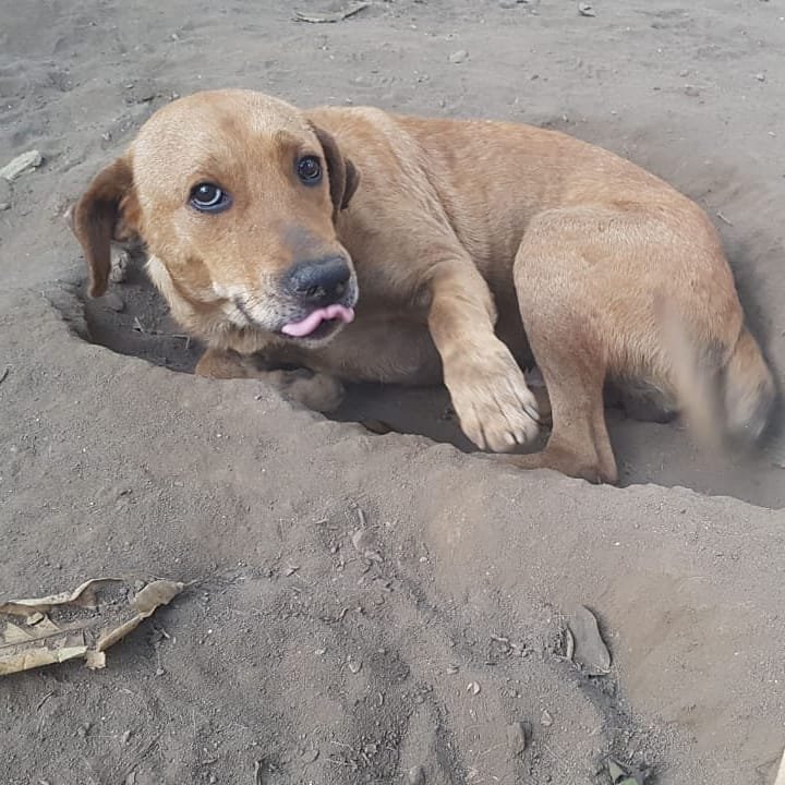 Hotelzinho Amarelinho - Janeiro