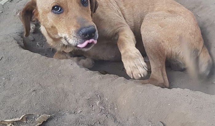 Hotelzinho Amarelinho - Janeiro