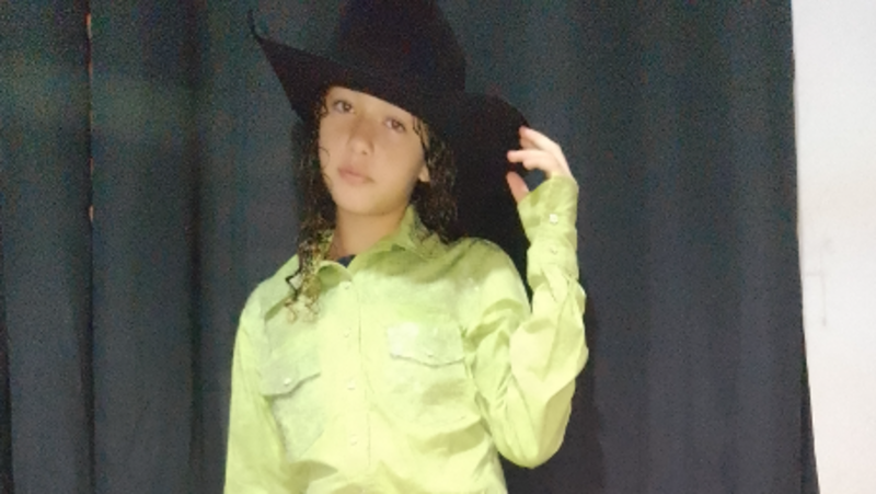 imagem da vaquinha Comprar um cavalo quarto de milha