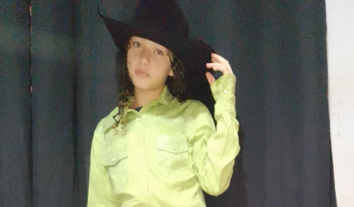Comprar um cavalo quarto de milha 