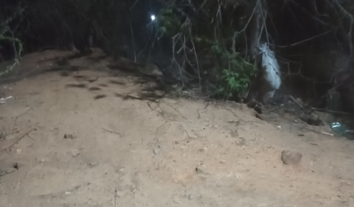 Ajudar o amigo a voltar pra casa