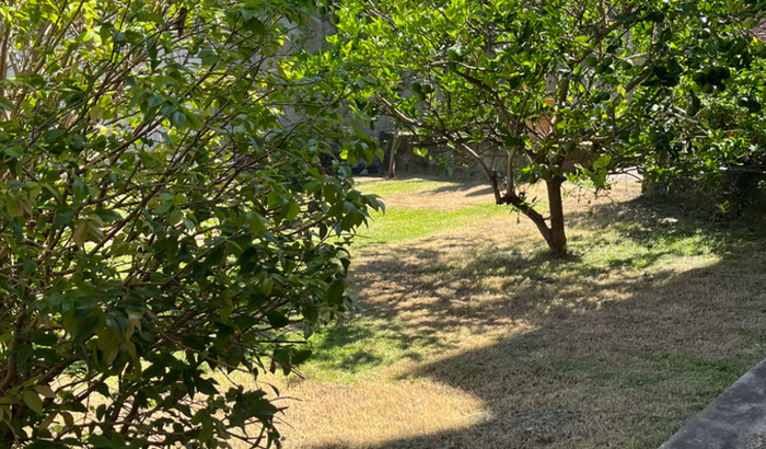 Compra de Lote para projeto