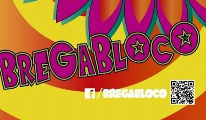 EU QUERO BOTA MEU BLOCO NA RUA "BREGA BLOCO"