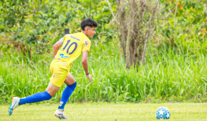 viagem para o Paraná em busca do meu sonho 