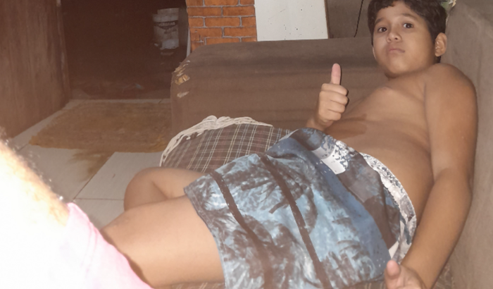 Búfalo do marajo jardim 1