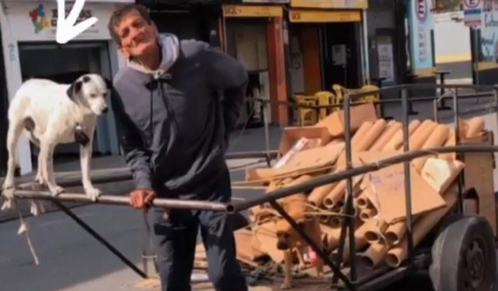 Carrinho para o Sr Carlos