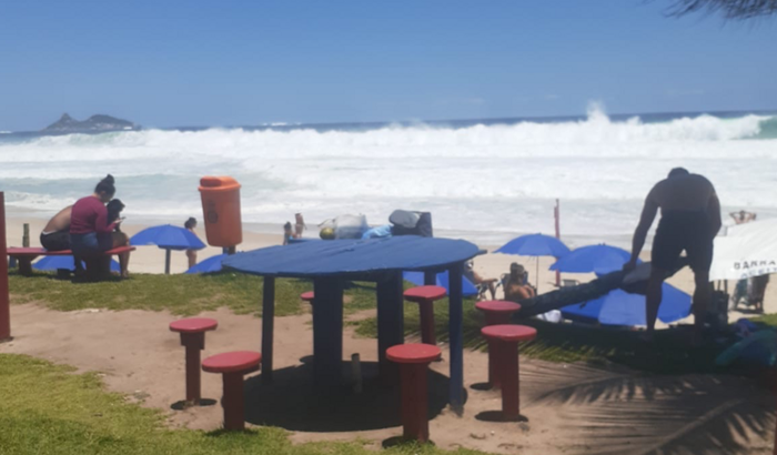 Ajude a Restaurar o Jardim Dragão Fly 