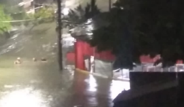 SOS FAZENDA BOTAFOGO 