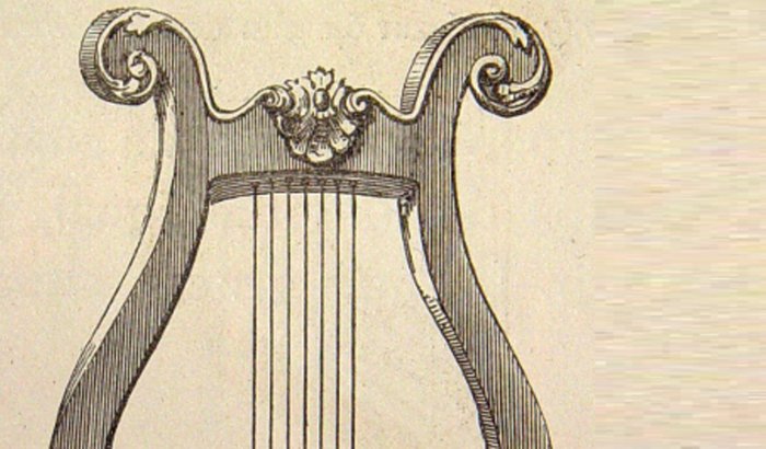 CENOGRAFIA/EQUIPAMENTO ANORMALVERSE