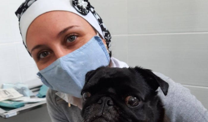 Ajudar a Bianca a recomprar os materiais