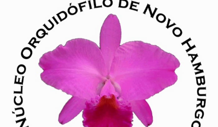 Ajuda para a exposição de orquideas do NONH