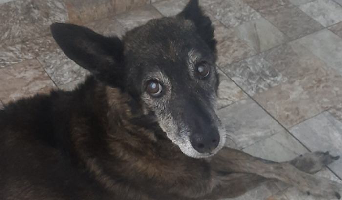 Ajuda para cirurgia de catarata do Leon