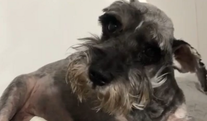 Ajude o BK no tratamento Renal