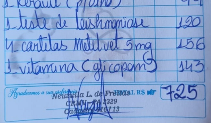Tratamento de Sarna e Leishmaniose destas cachorrinhas