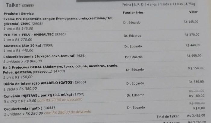 Cirurgia Gatinho Talker