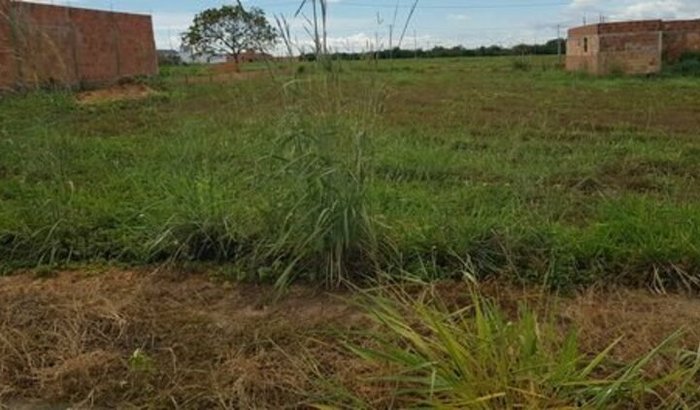 SE VOCĂ AMA A OBRA DE DEUS NOS AJUDE NESSE PROJETO đ