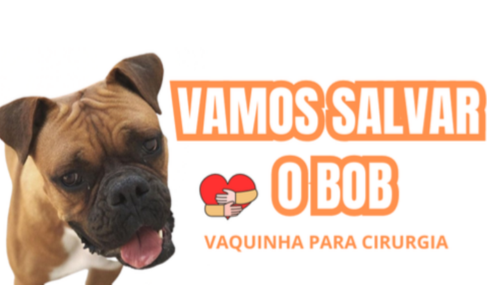 Vamos salvar o BOB!