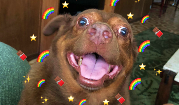 Cirurgia do Chocolate