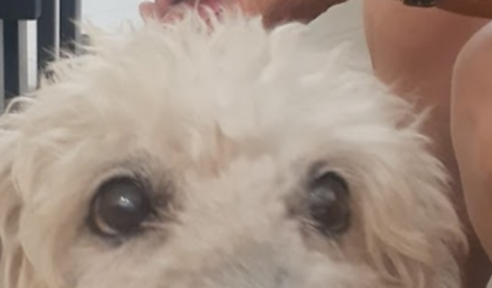 Tratamento oncológico do Erik (Leleke)