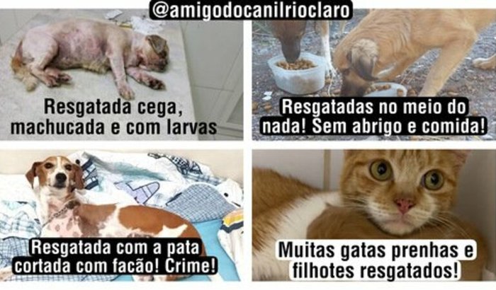Doe para ração, vacina e medicamentos dos animais carentes