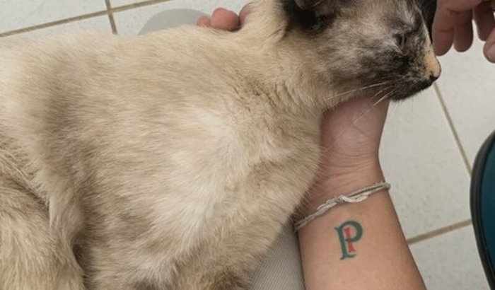 Ajuda no tratamento da Lua