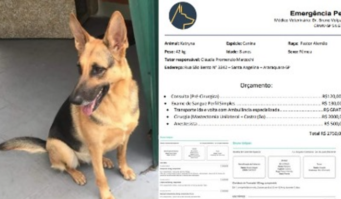 Cirurgia de câncer da Katryna