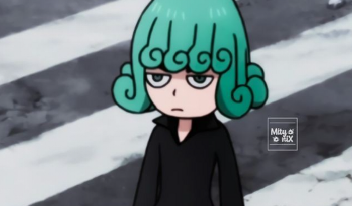 Vaquinha tatsumaki