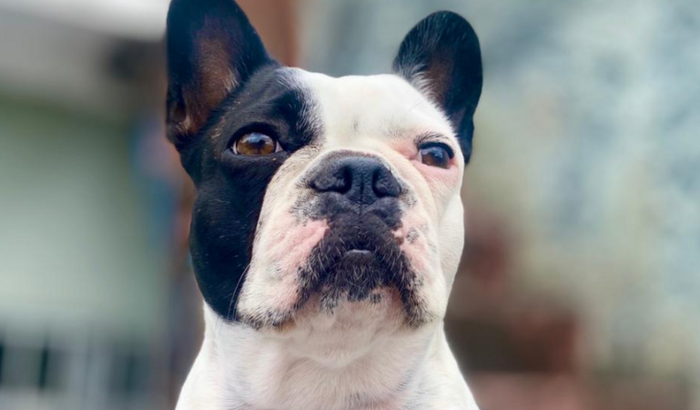 Ajude a Mya a continuar andar!