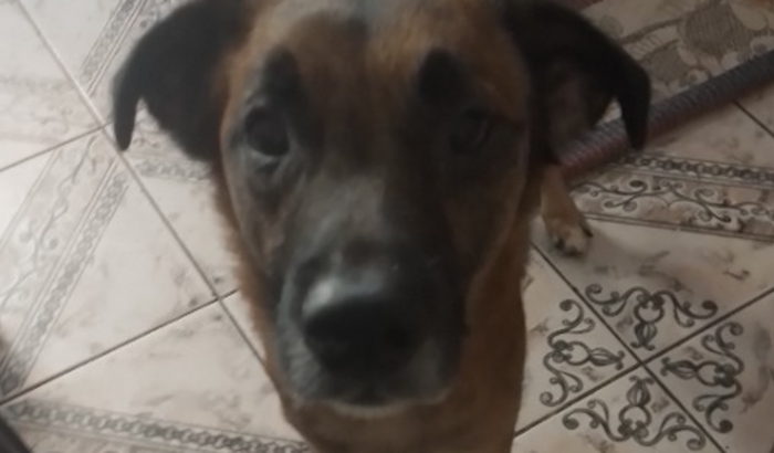 Ajuda para fazer exames da cirurgia do pitutinho.