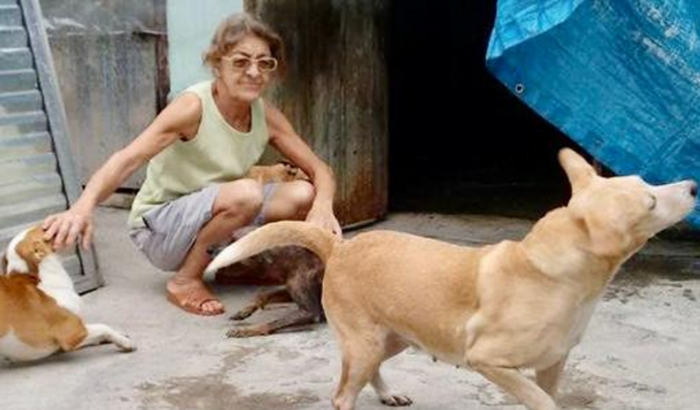 Ajuda para D. Amélia Rocato e seus 15 cães e 69 gatos resgatados