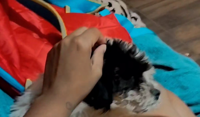 Tratamento da neném