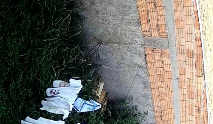 Construir a varanda da minha casa para cuidar melhor dos meus pets