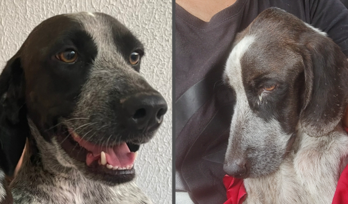 Tratamento de Marshall