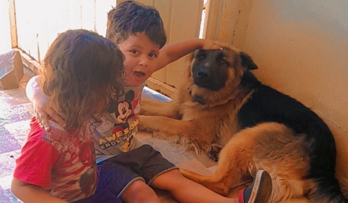 Para poder fazer o transporte do cachorro do meu filho de 4 anos pois ele é  muito agarrado com o Scoby..