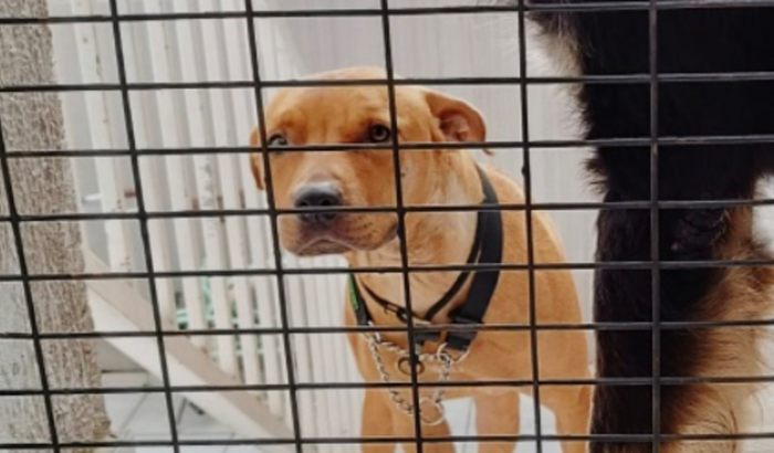 Reabilitação para conseguir um lar 🙏