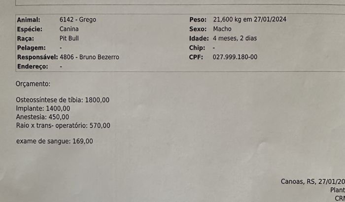 Cirugia Da Tíbia Esquerda “Pit Monster”