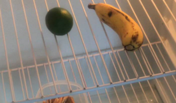 Preciso de ajuda minha casa tá sem energia sem alimentos minha mãe tá muito doente 😔😔😔