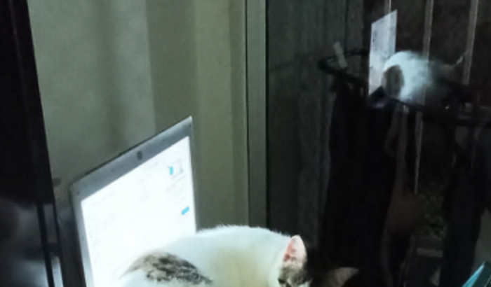 Material de trabalho 