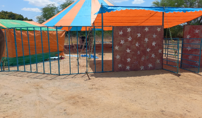 Realizar o sonho do minha vida ter meu circo e levar alegria pra todos