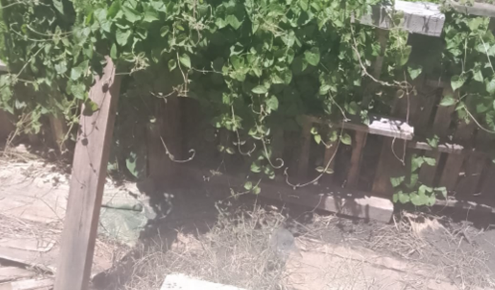 Ajuda para fazer uma peça de madeira e comprar cascalho