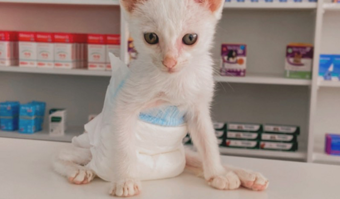 AJUDE A FLOQUINHA A VOLTAR A ANDAR ❤️