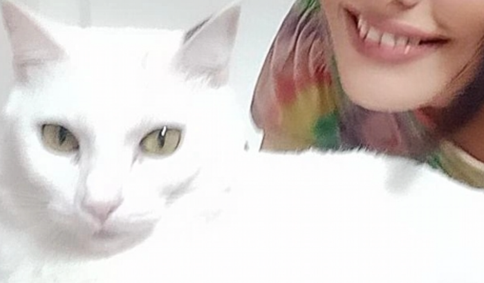 Remédio imunidade felvs