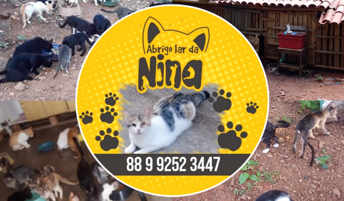 Ajude o Abrigo Lar da Nina