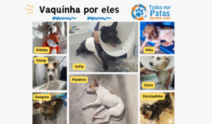 Pagto divida clinica veterinária