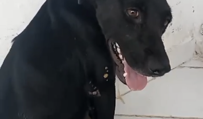 Cirurgia da coluna de Esperança