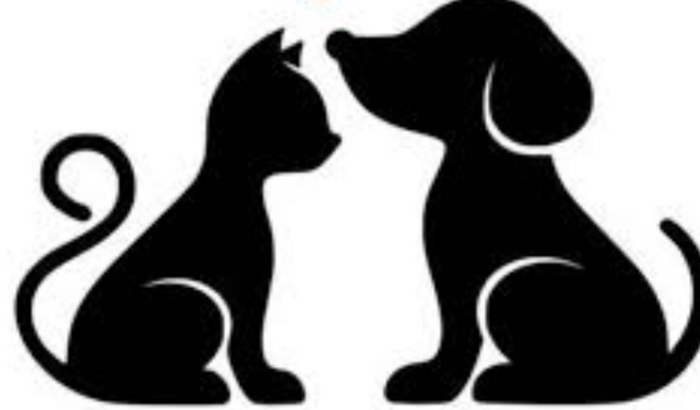 Manter o Projeto Tampatinhas da minha amiga Kelly