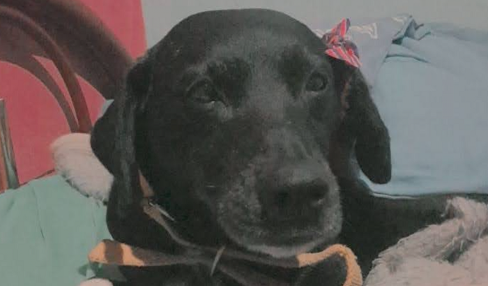 Todos na luta contra o câncer de mama da Pretinha 