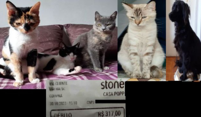 Precisamos de ração!